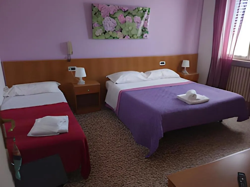 Hotel Delmare Lido di Camaiore 2*,